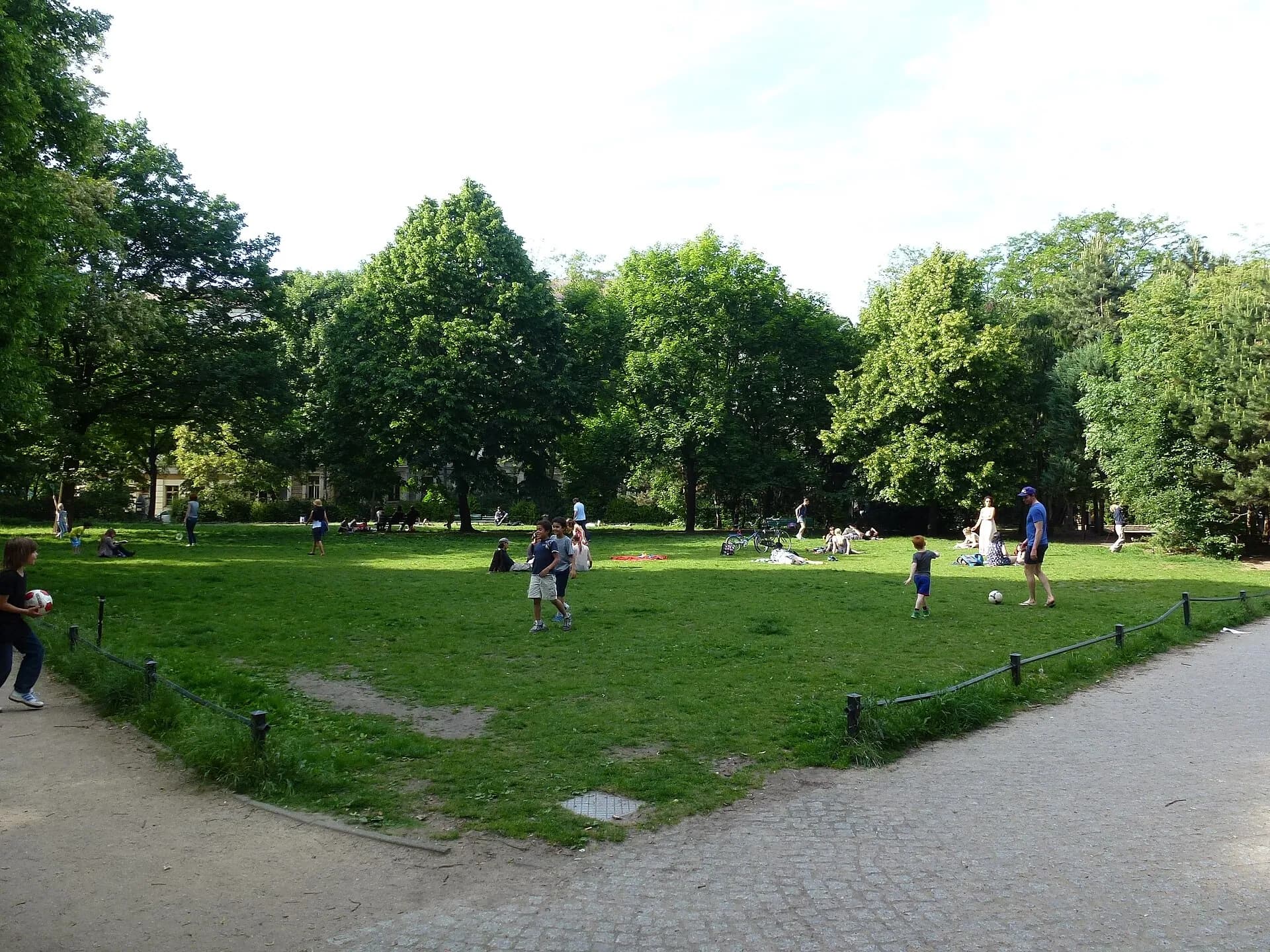 Grünfläche und Bäume auf dem Kollwitzplatz